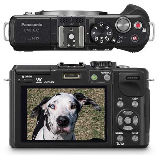 Best Mirrorless Cameras 2012 Panasonic GX1 