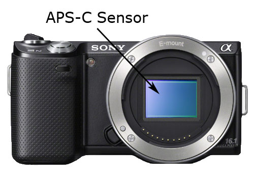 Sony NEX-5N APS-C Sensor